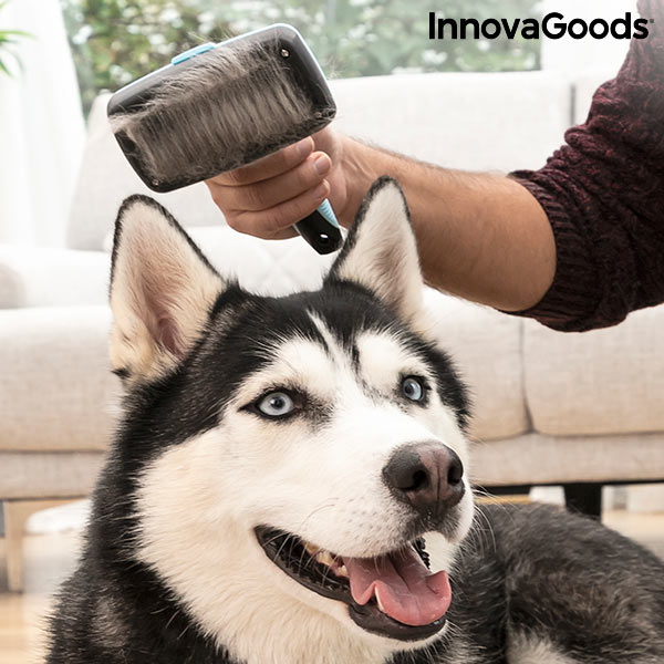InnovaGoods Reinigungsbürste für Haustiere, Fellpflege, Tiefenreinigung und  Entspannungsmassage, Groombot InnovaGoods, Ideal für mittellanges und  langes Fell