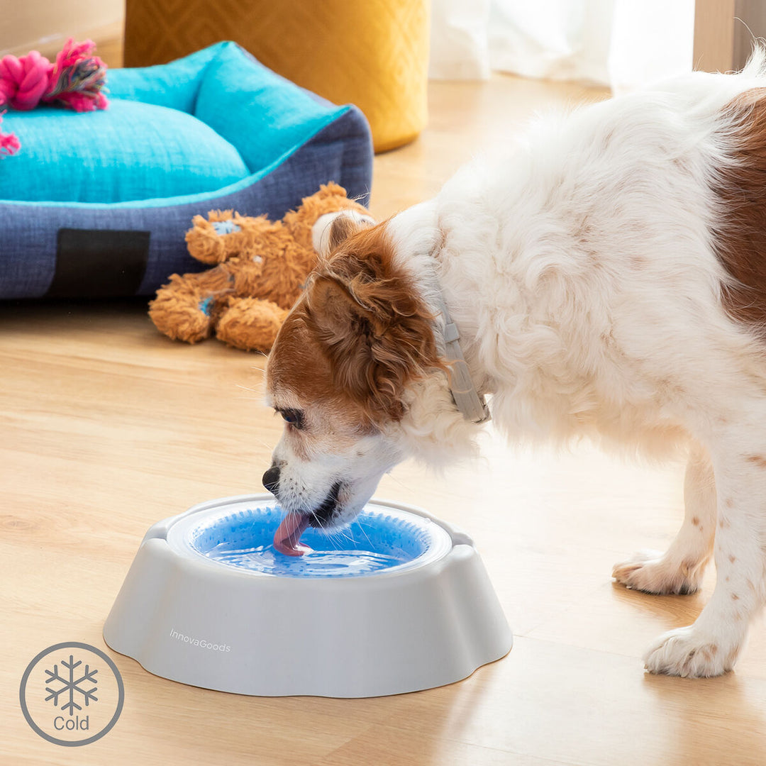 Cooling Pet Water Bowl Freshty InnovaGoods InnovaGoods Store