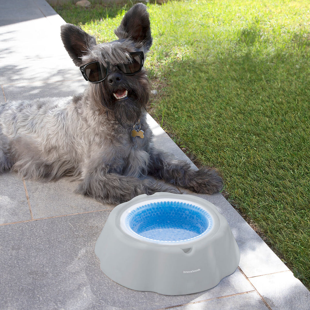 Cooling Pet Water Bowl Freshty InnovaGoods InnovaGoods Store