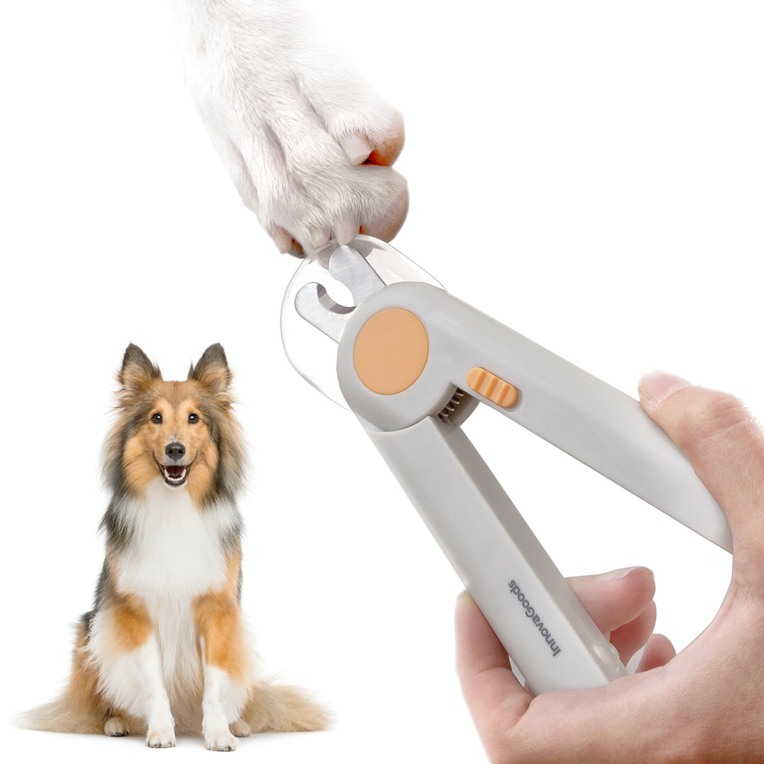 Illuminated dog nail clippers best sale